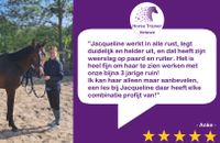 Review Anke